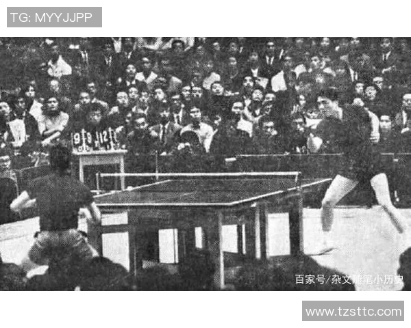 深圳乒乓球队的拼搏之路与欧锦赛荣耀背后的故事