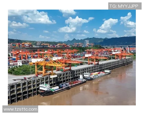 重庆篮球队篮球意识创新高引发热议成就新里程碑