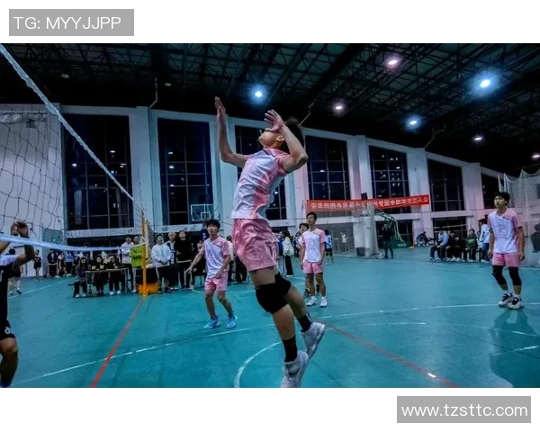 南京排球队的拼搏之路：城市联赛中的奋斗与荣耀