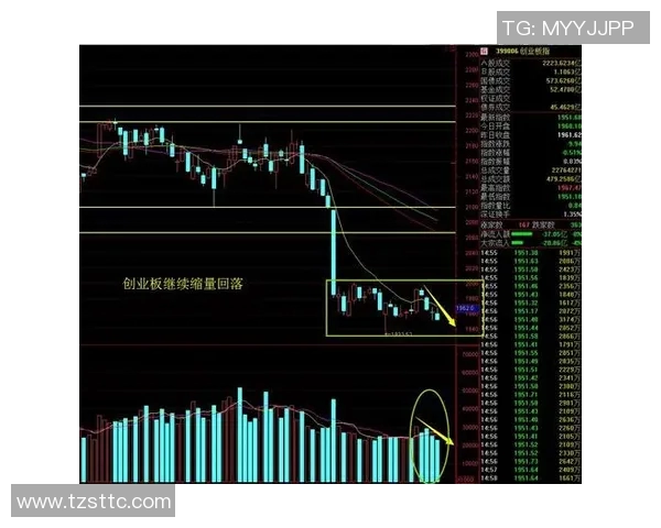 广州羽毛球队与杭州羽毛球队赛后复盘分析比赛节奏与战术对比