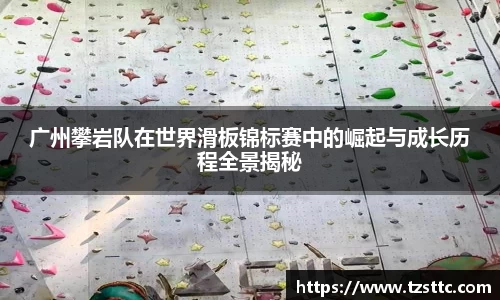 完美体育