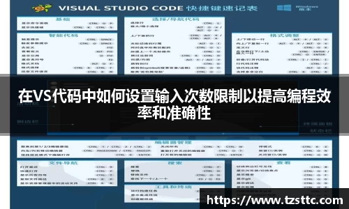 在VS代码中如何设置输入次数限制以提高编程效率和准确性