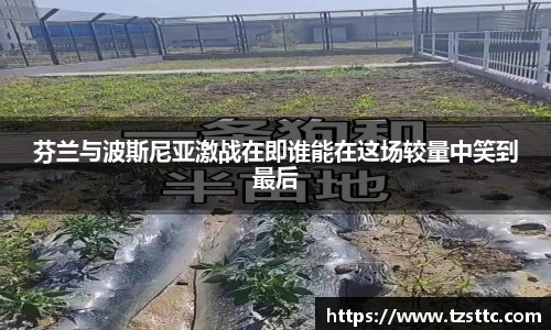 完美体育平台