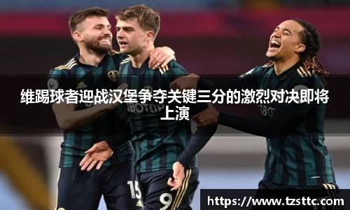 维踢球者迎战汉堡争夺关键三分的激烈对决即将上演